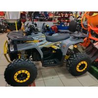 Квадроцикл OneMoto FY1500