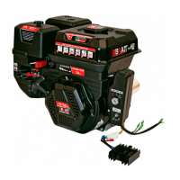 Двигатель бензиновый Brait GE720E11 PRO SHINERAY