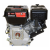 Двигатель бензиновый Brait GE819 PRO SHINERAY